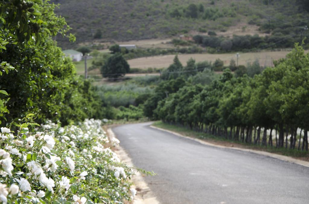 Bushmanspad Estate Boesmanspad Luaran gambar