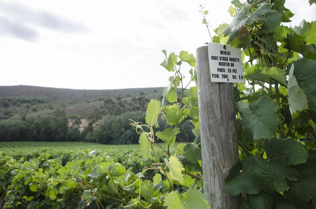 Bushmanspad Estate Boesmanspad Luaran gambar